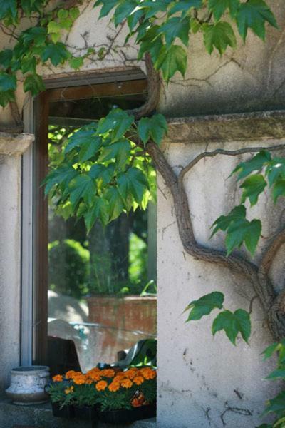 Bed and Breakfast Mas De L'Ermitage Lattes Esterno foto